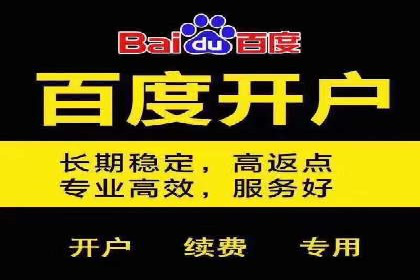 案例分析：SEM服务优化效果显著